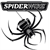 Spiderwire Spiderwire