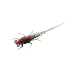 13 Fishing Bearnie Panfish 43mm Cherry Bomb, 6pk