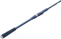 Aava LEKA Spinning Rod 6&#39;9&quot; 20-90g Haspelstang