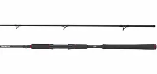 Abu Garcia BEAST Pike Spinning 2-delt
