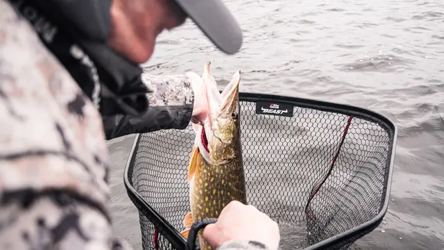 Abu Garcia Beast Net M 70x60cm Håv med gumminett 