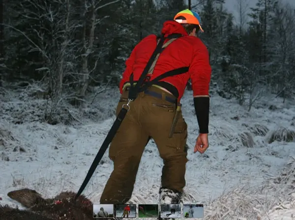 Baggen Vilt Trekksele Trekksele for elg, rådyr og hjort 