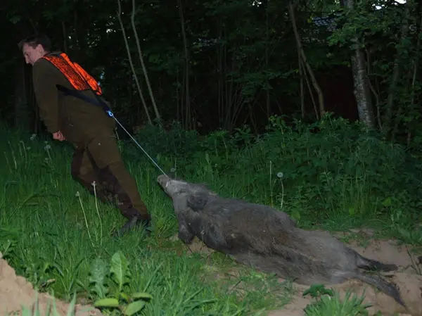 Baggen Vilt Trekksele Trekksele for elg, rådyr og hjort 