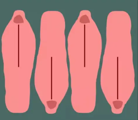 Bergans Trollhetta Tunnel 4 Telt Fogblue 