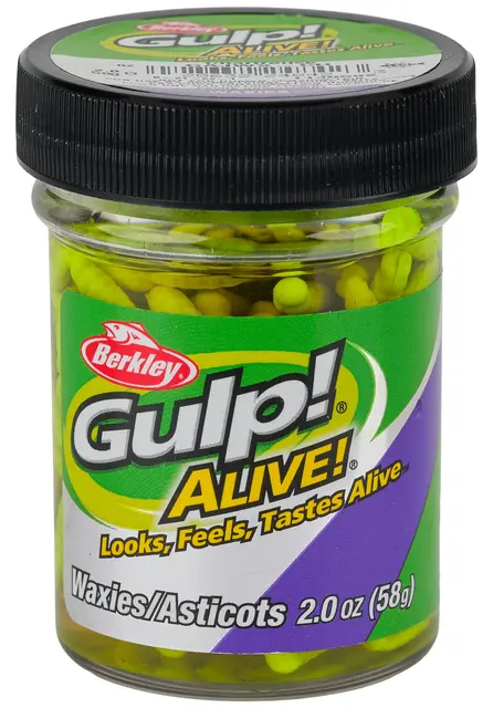 Berkley Gulp Alive "Waxies" maggot Chartreuse 