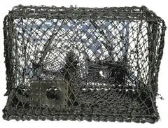 Krabbe- og hummerteine - sammenleggbar