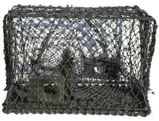 Krabbe- og hummerteine - sammenleggbar