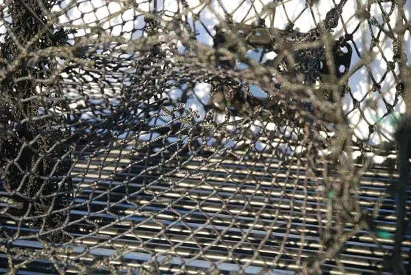 Krabbe- og hummerteine - sammenleggbar 