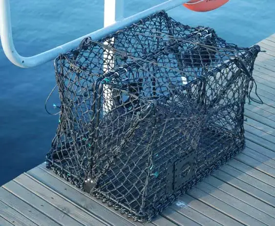 Krabbe- og hummerteine - sammenleggbar 