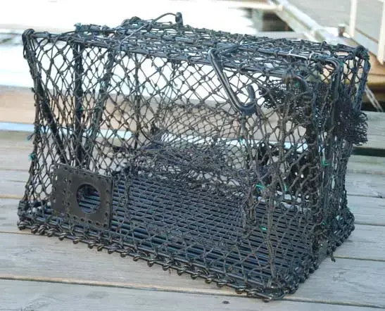 Krabbe- og hummerteine - sammenleggbar 