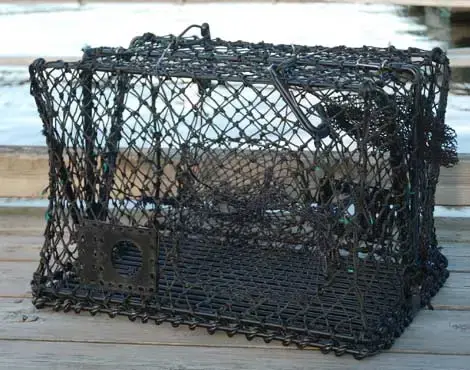 Krabbe- og hummerteine - sammenleggbar 