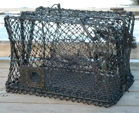 Krabbe- og hummerteine - sammenleggbar 