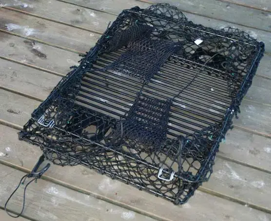 Krabbe- og hummerteine - sammenleggbar 