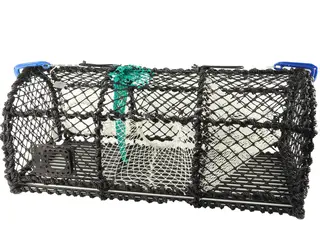 CAL Krabbe/hummerteine 13kg Kraftig krabbe og hummerteine