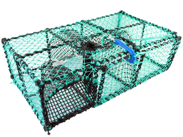 CAL Krepseteine med hvilekammer for sjøkreps 