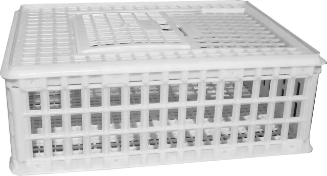 Sanketeine 75x55x26cm Plast 