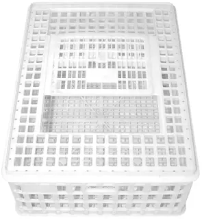 Sanketeine 75x55x26cm Plast