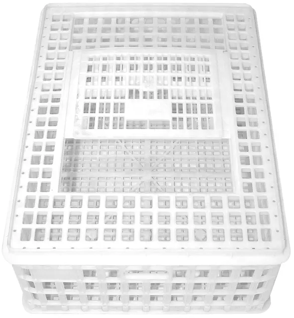 Sanketeine 75x55x26cm Plast 