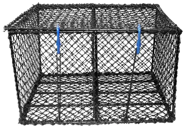 Sanketeine stor 75x58x47cm 