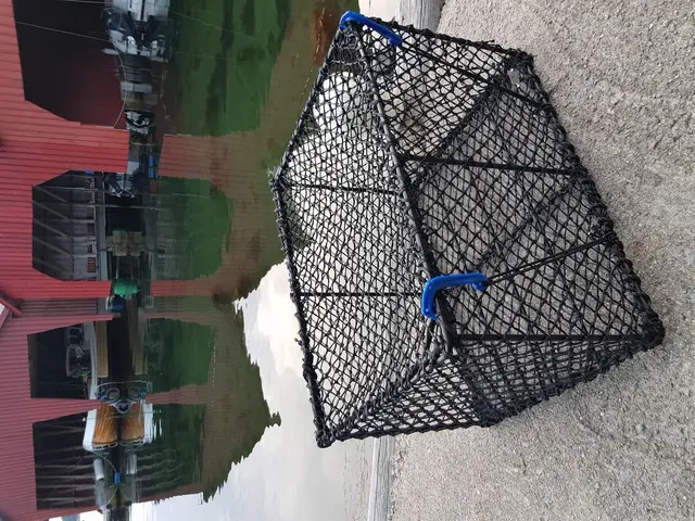 Sanketeine stor 75x58x47cm 