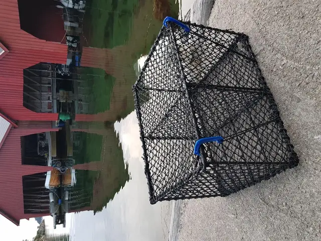 Sanketeine stor 75x58x47cm 