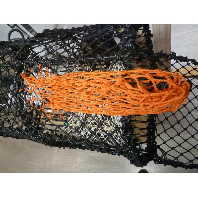 Agnpose For Krabbeteine 