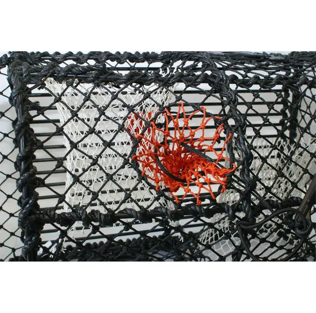 Agnpose For Krabbeteine 