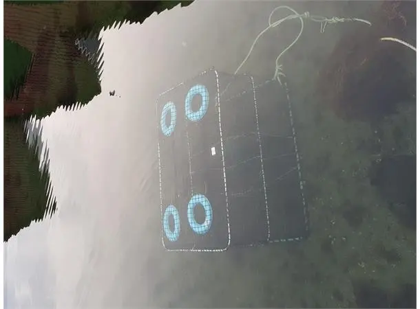 CAL Fisketeine 95-65-80cm havteine 