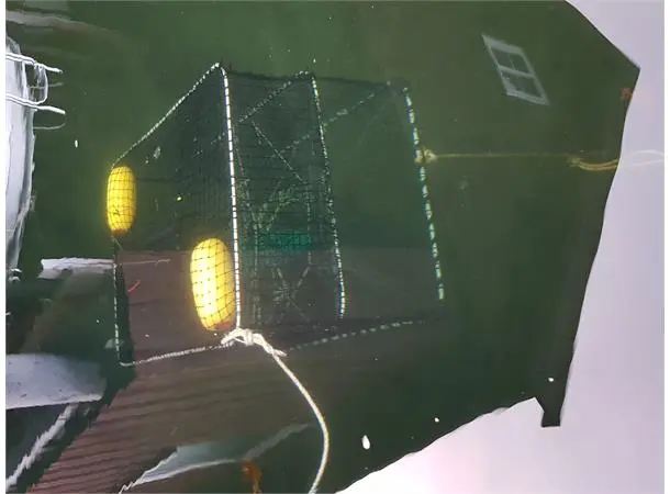 CAL Fisketeine 95-65-80cm havteine 