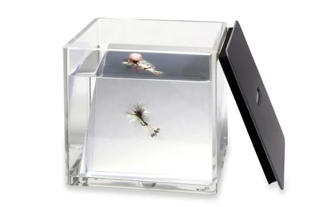 C&F Design Fish Eye inspiser en flue fra en fisks synspunkt 