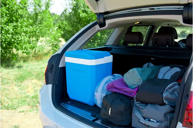 Campingaz Icetime Plus 26L Tradisjonelle robuste kjølebokser 