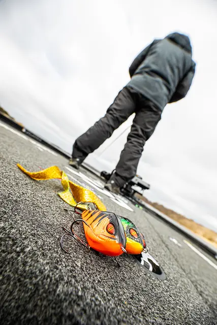 Daiwa Prorex Lazy Jerk Distance Flash Parrot 