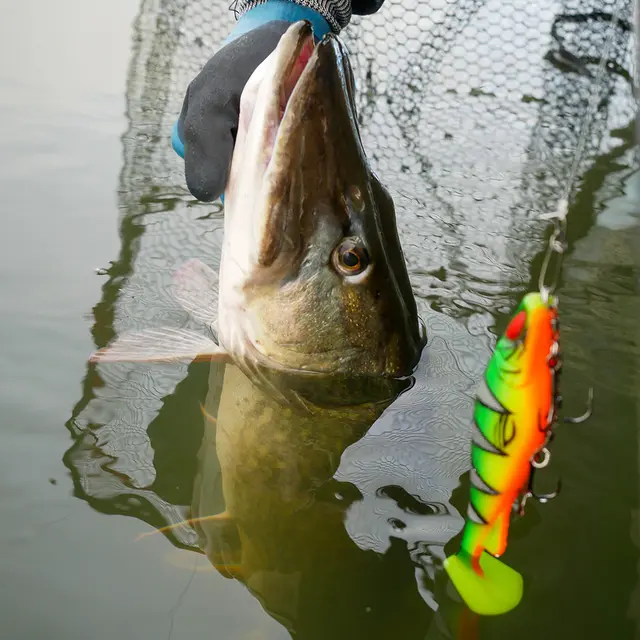 Daiwa Prorex Lazy Shad 16cm Motoroil Burbot UV 