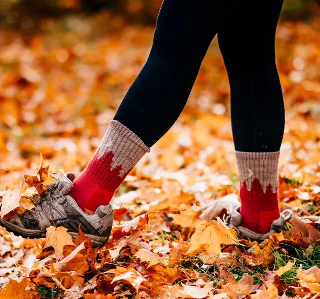 Darn Treeline W Micro Crew Cranberry S Cushion,  Damesokker 