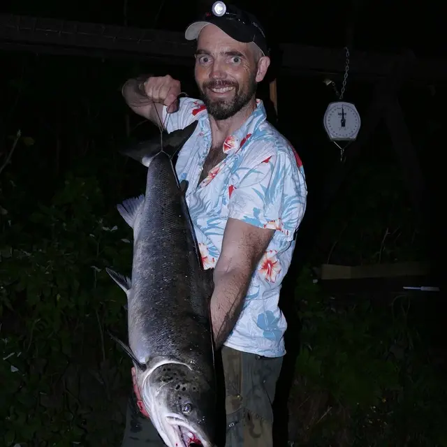 Effektivt laksefiske 