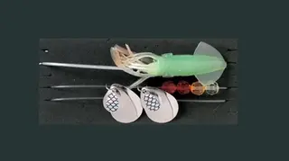 Elbe Havfiskeslep 5 Steinbit