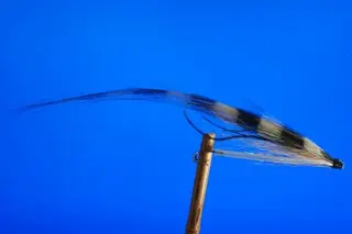 Sunray Shadow - Zebra Shadow 2 1/3&quot; Vingelengde 14cm