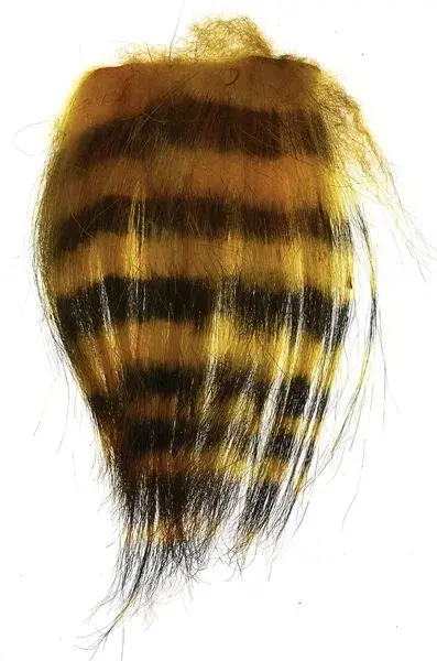 Sunray Zebra Goat - Yellow/Black 