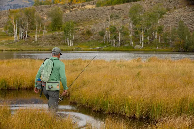 Fishpond South Fork Wader Belt Funksjonellt vadebelte 