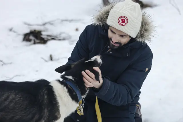 Fjällräven 1960 Logo Hat Mustard Yellow Behagelig strikkelue i lammeull 