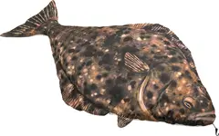 Fladen kosedyr Kveite 100cm Herlige kosedyr for ekte fiskere