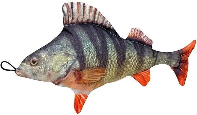 Fladen kosedyr Abbor Herlige kosedyr for ekte fiskere 