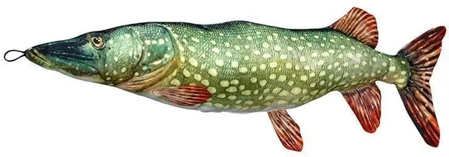 Fladen kosedyr Gjedde XXL 200cm Herlige kosedyr for ekte fiskere 