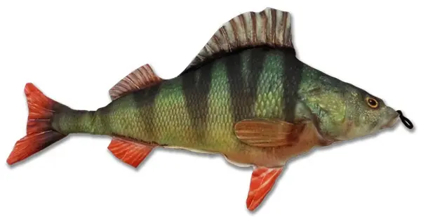 Fladen kosedyr Abbor Herlige kosedyr for ekte fiskere 