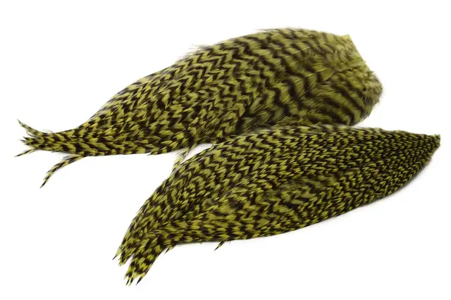 Whiting Bugger Pack Grizzly Dyed Olive Lange fjær med naturlig tapering 