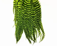 Whiting Bugger Pack Grizzly Fl Green Ch Lange fj&#230;r med naturlig tapering