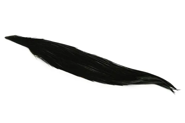 Whiting Pro Grade 1/2 Cape Black Black 