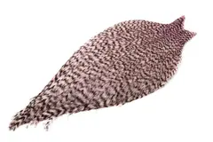 Whiting American Rooster Cape Grizzly dyed Shell Pink