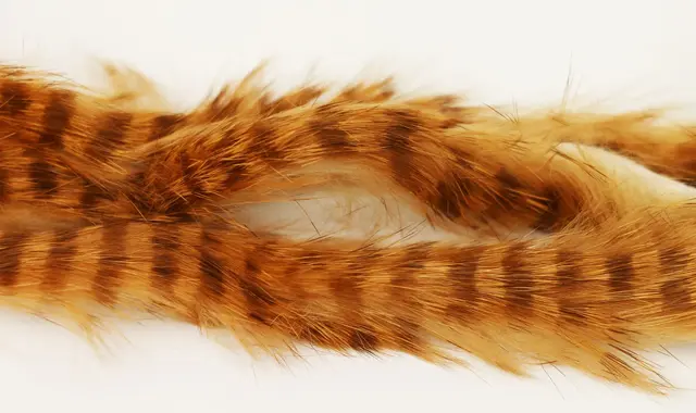 Brown Barred Magnum Rabbit Strips Ginger 