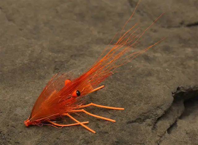 Easy Shrimp Legs 2.0 Trans Dirty Brown 6stk 